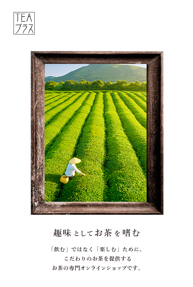 ティープラス ティープラス